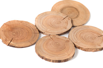 The Concept dendrochronology. tree trunks clearly visible annual rings, round slices of trees, white background