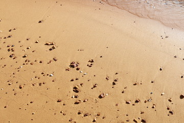 Soft wave of blue ocean on sandy beach. Background.