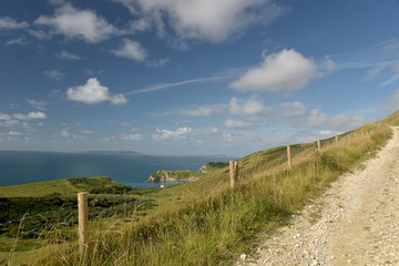 Fototapeta na wymiar Path over Bindon Hill near Lulworth Cove on Dorset coast