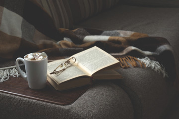 Cup of hot coffee with marmalade book points the blanket on the couch and cat  the window