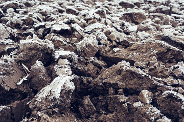 Frozen plowed agricultural field covered with frost