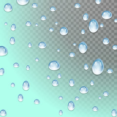 Group realistic water droplets on a transparent background.Vector illustration
