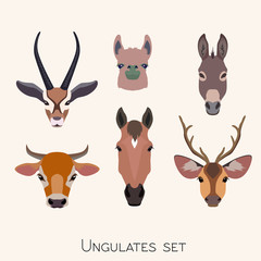 Vector animals heads set. Lama deer antelope donkey horse cow