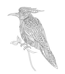 Coloring page with fantasy bird. T-shirt print design. Line art. Vector illustration hand drawn.