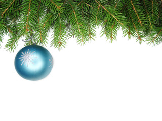 christmas decoration composition with fir branches on white back