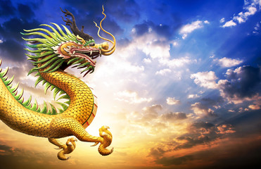 Naklejka premium dragon on sky with soft-focus in the background. over sunlight