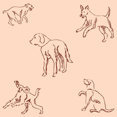 Dogs. Sketch pencil. Drawing by hand. Vintage colors. Vector