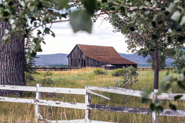 Old falling down barn in a field, framed by trees and a fence © ecummings00