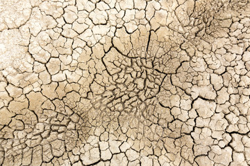 Dried and cracked sandy soil from a drained desert lakebed