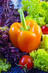 vegetables for salad