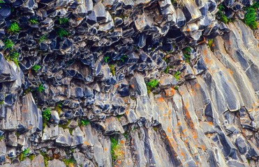 Basaltformation mit Bewuchs aus Farn, Moos, Gras und Flechten am Jökulsá á Fjöllum, Jökulsárgljúfur- Nationalpark, Norðurland eystra, Island, Europa 