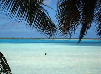 Alone in lagoon