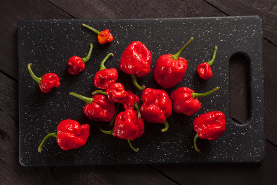 Moruga Riba Moruga Images – Browse 514 Stock Photos, Vectors, and Video | Adobe Stock