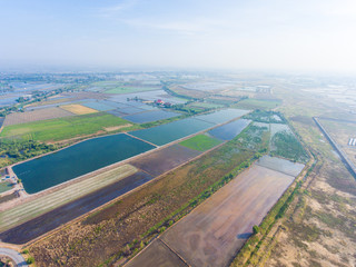 Aerial view of Rice farm with Water in preparing phase
