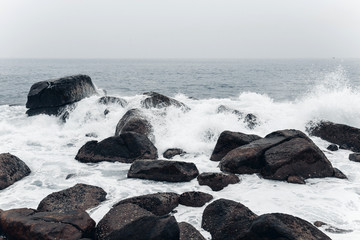 Tropical beach. Landscape rocky coast ocean
