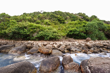 Palm tropical beach. Landscape rocky coast ocean.