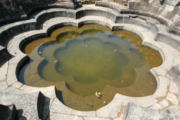 Lotus Pond pool of Polonnaruwa ruin Unesco world heritage
