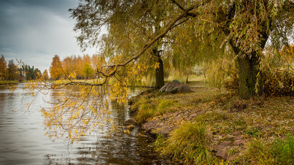 autumn landscape. the coast of the city water channel, the river, a stream with trees