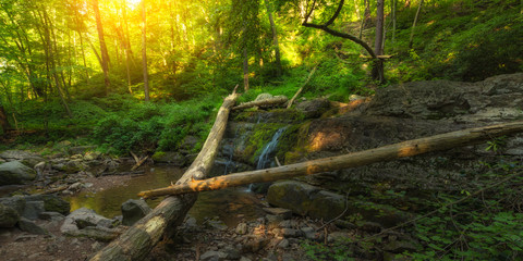 Fototapeta premium Fallen trees at Dunnfield Creek New Jersey 