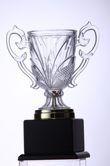 trophy