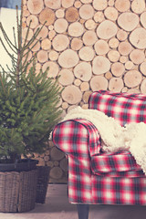 Checkered sofa, plaid, tree, wooden wall