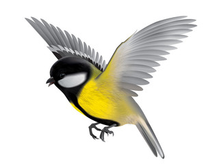Naklejka premium bird titmouse illustration