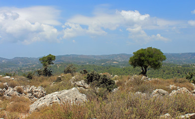 Grèce, Paysage de Rhodes