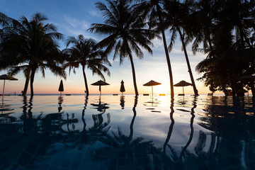 Palm trees and reflection in swimming pool, beach hotel, sunset