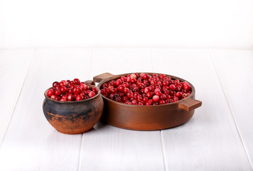 Ripe wild cranberries.