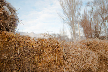 Fototapeta na wymiar bales of hay yellow, texture