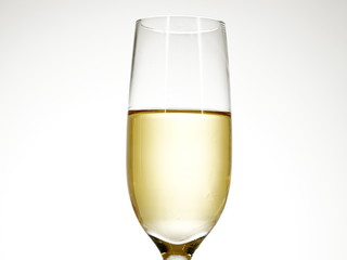 champagne glass isolated