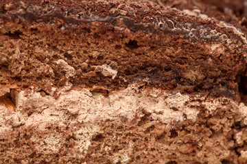 Slices of chocolate cake with cream closeup