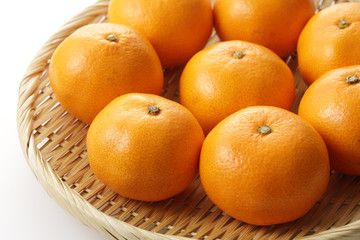 みかん　Japanese Mandarin orange　Mikan