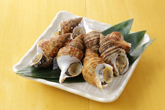 つぶ貝　Whelk