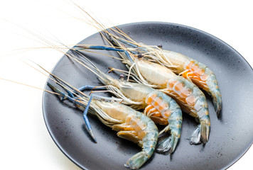 Close up fresh shrimp with eggs on black dish isolated on white background