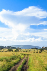 Fototapeta na wymiar Field road in Serengeti. Tanzania, Africa.