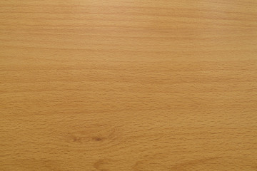 Naklejka premium Background texture of beech