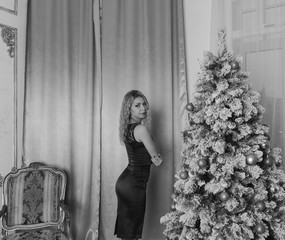 black white, Christmas eve spicy girl in evening dress posing one.