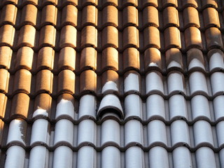 L'inverno colpito da un raggio di sole