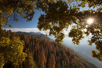 Sequoia National Park