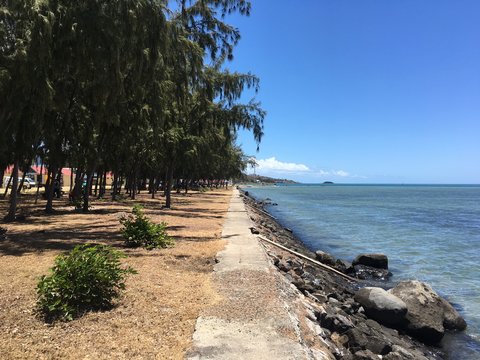 &Icirc;le Rodrigues 7
