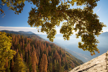Sequoia National Park