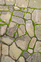 stone walk in the Japanes park, moss on the ground