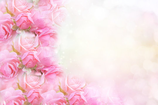 pink rose flower on soft bokeh vintage background for valentine or wedding 
