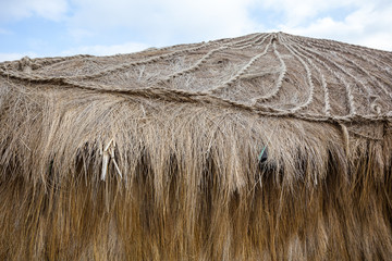 Roof of hut