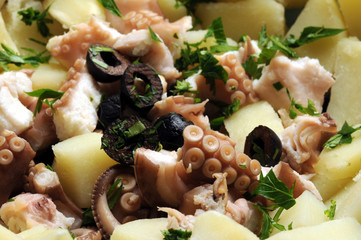 Octopus vulgaris Pulpo común Pieuvre commune Gewöhnlicher Krake Insalata di polpo Obična hobotnica 普通章魚 Közönséges polip Ośmiornica zwyczajna Осьминог обыкновенный マダコ salad תמנון החוף © Comugnero Silvana