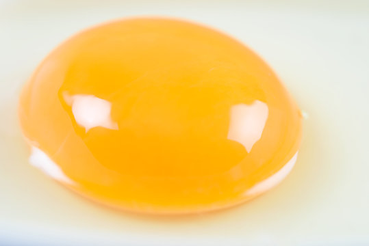 Chicken Egg Yolk Close Up