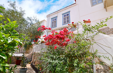 
traditional houses with red bougainvilleas at Hydra Greece
