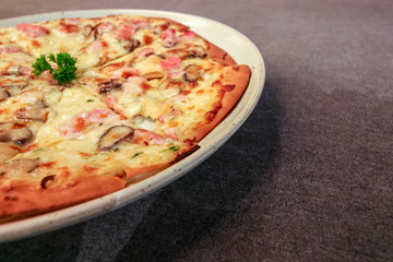 Hot pizza on the white plate on the table with copy space