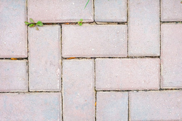 Close up abstract brick cement block concrete pavement floor pattern wall background texture